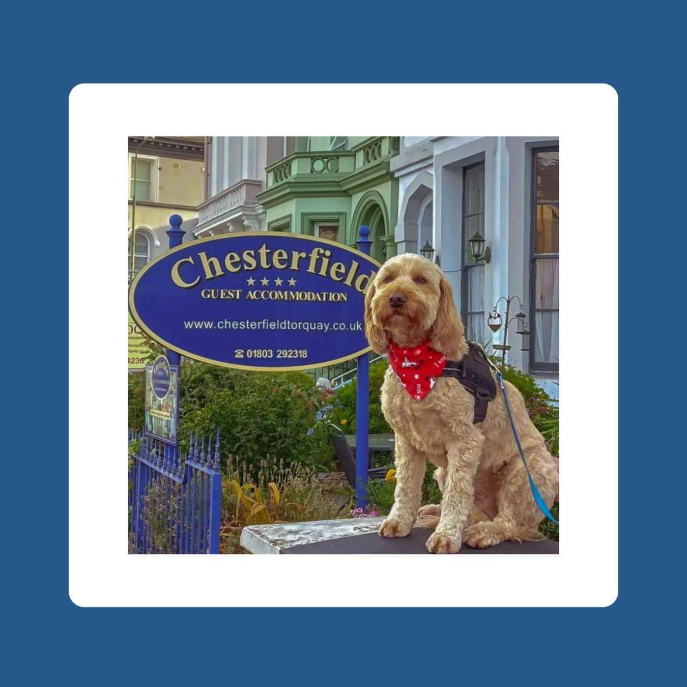 The Chesterfield, (adults Only) Torquay